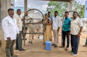 పాడి రైతులకు అండగా ప్రభుత్వం : సర్పంచ్ యమున